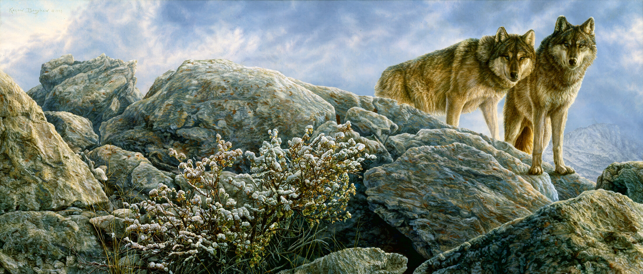 Wild Scenes — Kalon Baughan Wild Scenes — Kalon Baughan